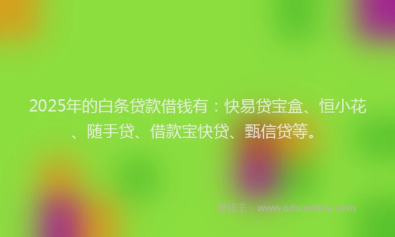 2025年的白条贷款借钱有：快易贷宝盒、恒小花、随手贷、借款宝快贷、甄信贷等。