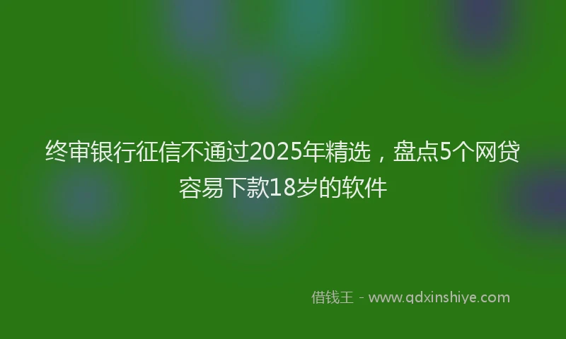 终审银行征信不通过2025年精选，盘点5个网贷容易下款18岁的软件