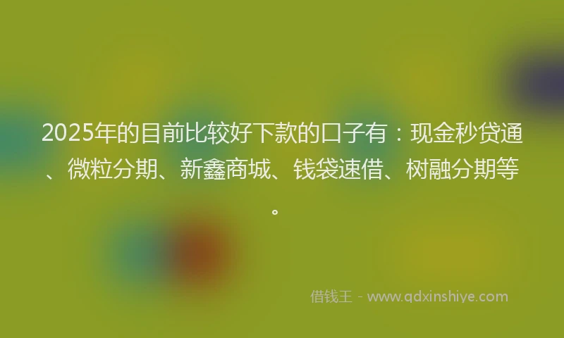 2025年的目前比较好下款的口子有：现金秒贷通、微粒分期、新鑫商城、钱袋速借、树融分期等。