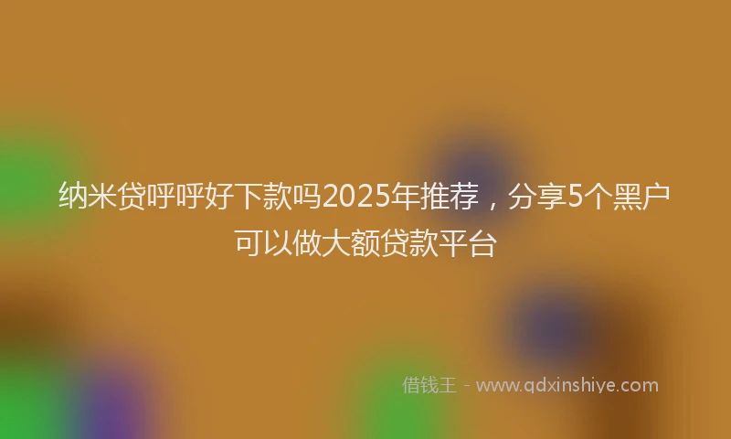 纳米贷呼呼好下款吗2025年推荐，分享5个黑户可以做大额贷款平台