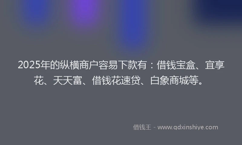 2025年的纵横商户容易下款有：借钱宝盒、宜享花、天天富、借钱花速贷、白象商城等。