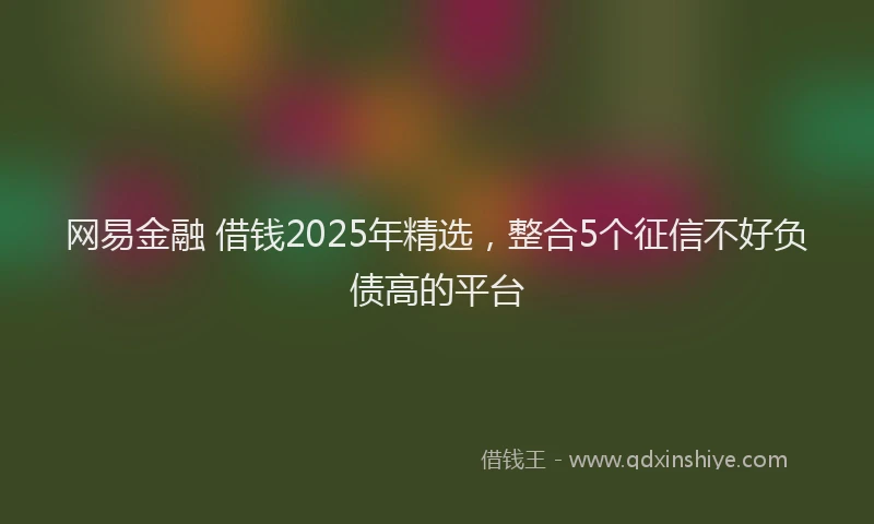 网易金融 借钱2025年精选，整合5个征信不好负债高的平台