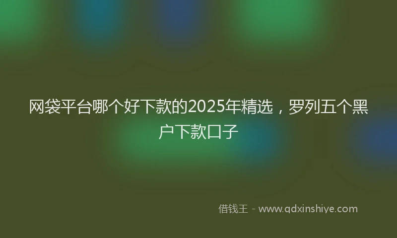 网袋平台哪个好下款的2025年精选，罗列五个黑户下款口子