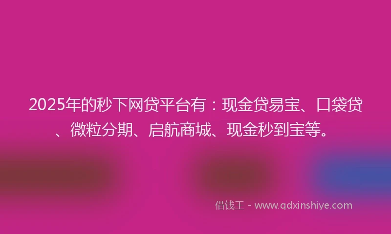 2025年的秒下网贷平台有：现金贷易宝、口袋贷、微粒分期、启航商城、现金秒到宝等。