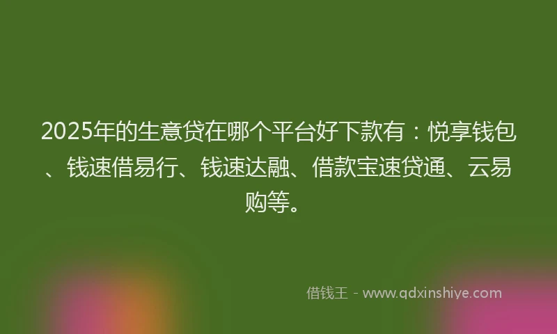 2025年的生意贷在哪个平台好下款有：悦享钱包、钱速借易行、钱速达融、借款宝速贷通、云易购等。