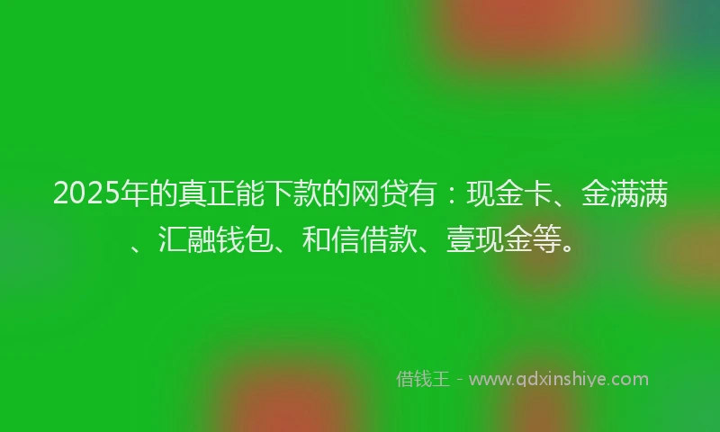 2025年的真正能下款的网贷有：现金卡、金满满、汇融钱包、和信借款、壹现金等。
