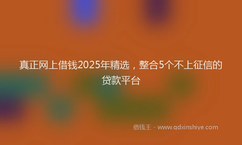 真正网上借钱2025年精选，整合5个不上征信的贷款平台