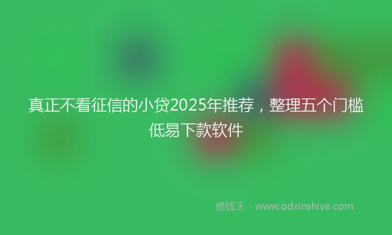 真正不看征信的小贷2025年推荐，整理五个门槛低易下款软件