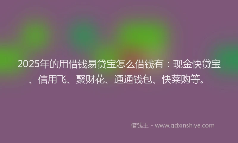 2025年的用借钱易贷宝怎么借钱有：现金快贷宝、信用飞、聚财花、通通钱包、快莱购等。