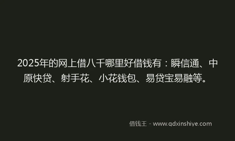2025年的网上借八千哪里好借钱有：瞬信通、中原快贷、射手花、小花钱包、易贷宝易融等。
