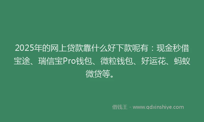 2025年的网上贷款靠什么好下款呢有：现金秒借宝途、瑞信宝Pro钱包、微粒钱包、好运花、蚂蚁微贷等。