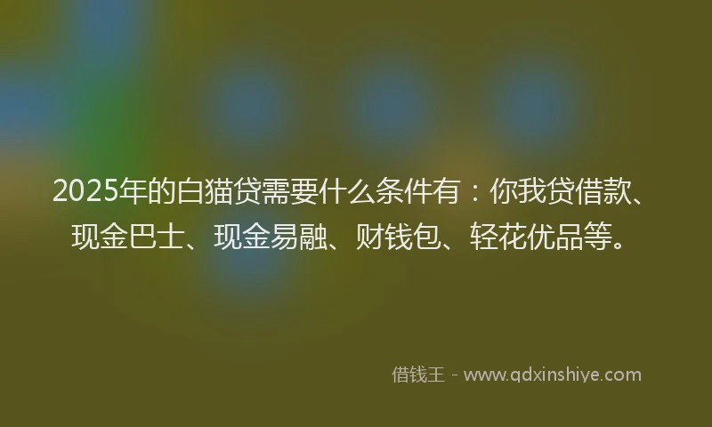 2025年的白猫贷需要什么条件有：你我贷借款、现金巴士、现金易融、财钱包、轻花优品等。