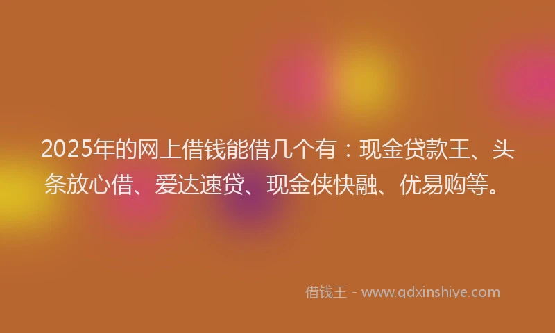 2025年的网上借钱能借几个有：现金贷款王、头条放心借、爱达速贷、现金侠快融、优易购等。