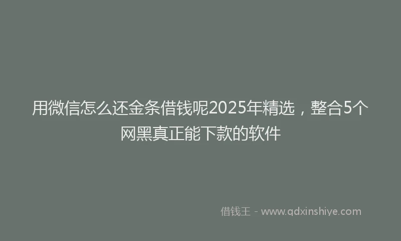 用微信怎么还金条借钱呢2025年精选，整合5个网黑真正能下款的软件
