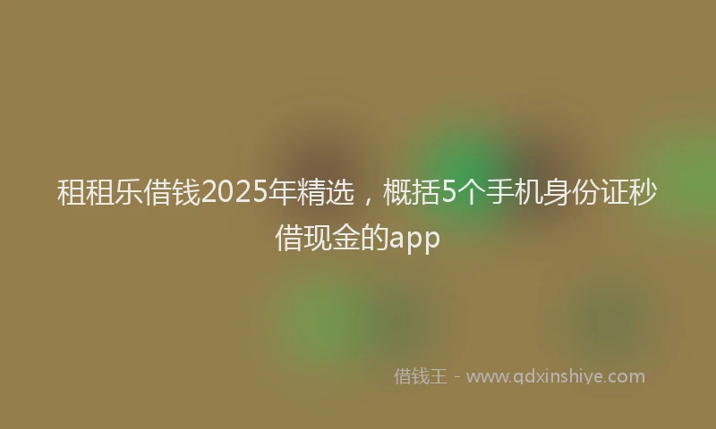 租租乐借钱2025年精选，概括5个手机身份证秒借现金的app
