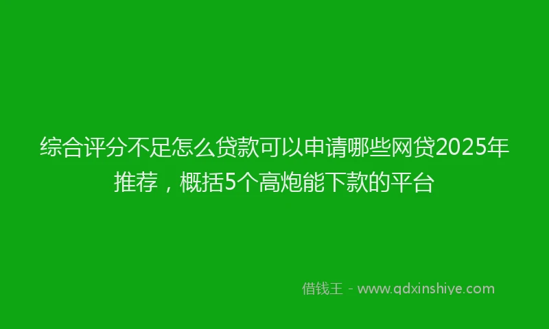 综合评分不足怎么贷款可以申请哪些网贷2025年推荐，概括5个高炮能下款的平台