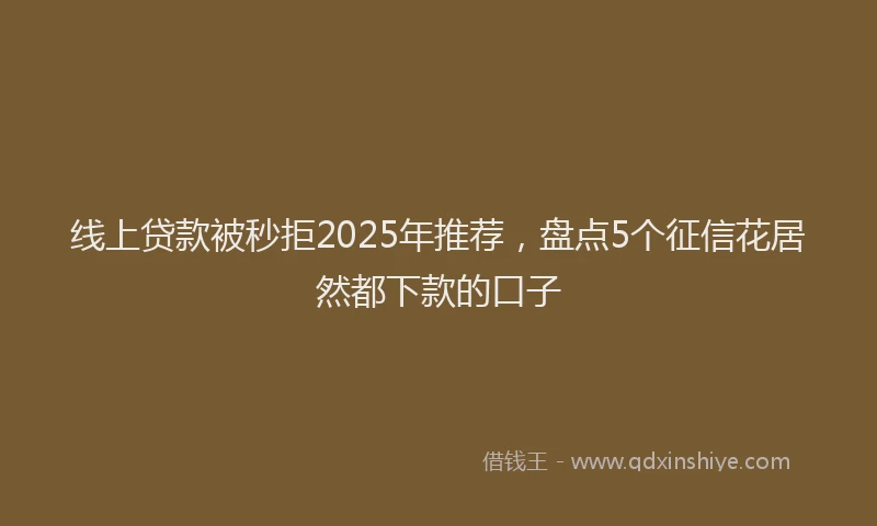 线上贷款被秒拒2025年推荐，盘点5个征信花居然都下款的口子