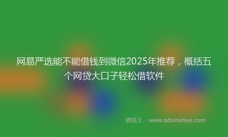 网易严选能不能借钱到微信2025年推荐，概括五个网贷大口子轻松借软件