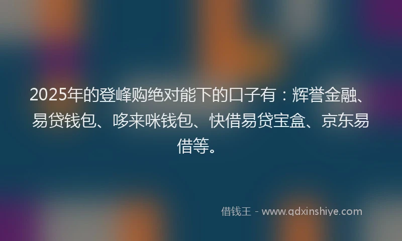 2025年的登峰购绝对能下的口子有：辉誉金融、易贷钱包、哆来咪钱包、快借易贷宝盒、京东易借等。