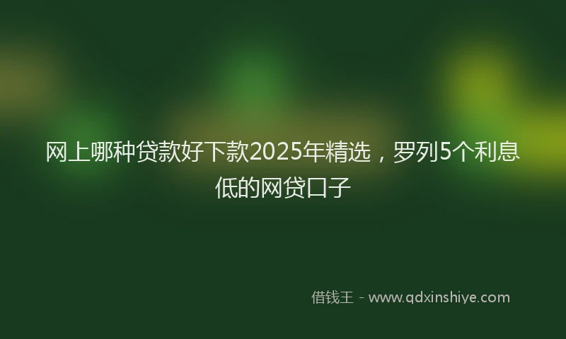 网上哪种贷款好下款2025年精选，罗列5个利息低的网贷口子