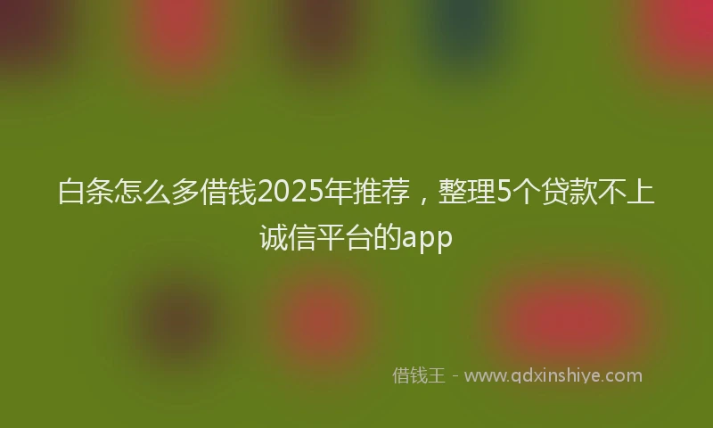 白条怎么多借钱2025年推荐，整理5个贷款不上诚信平台的app