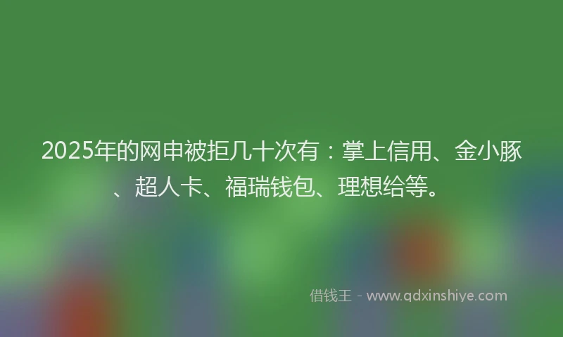 2025年的网申被拒几十次有：掌上信用、金小豚、超人卡、福瑞钱包、理想给等。