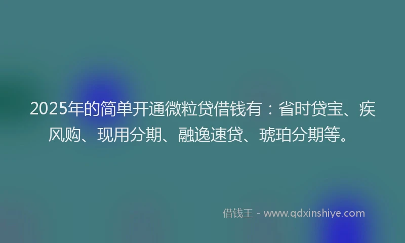 2025年的简单开通微粒贷借钱有：省时贷宝、疾风购、现用分期、融逸速贷、琥珀分期等。