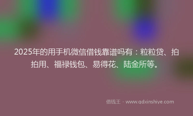2025年的用手机微信借钱靠谱吗有：粒粒贷、拍拍用、福禄钱包、易得花、陆金所等。