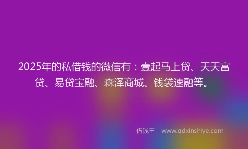 2025年的私借钱的微信有：壹起马上贷、天天富贷、易贷宝融、森泽商城、钱袋速融等。