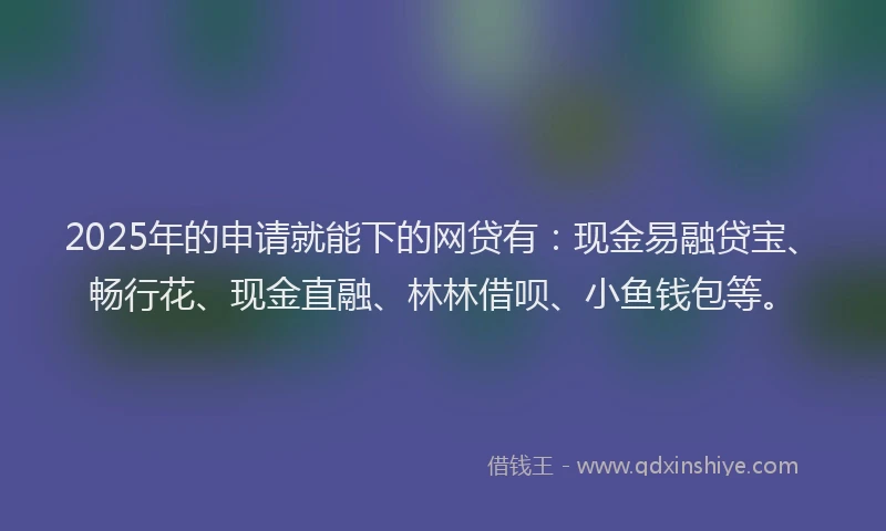 2025年的申请就能下的网贷有：现金易融贷宝、畅行花、现金直融、林林借呗、小鱼钱包等。