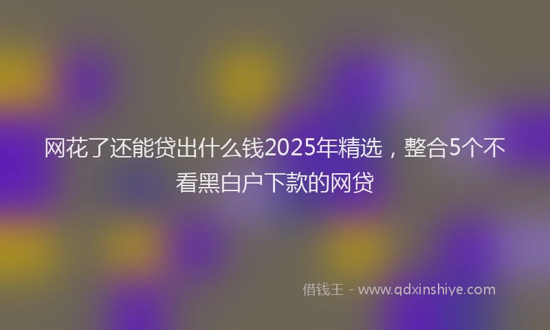 网花了还能贷出什么钱2025年精选，整合5个不看黑白户下款的网贷