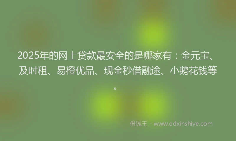 2025年的网上贷款最安全的是哪家有：金元宝、及时租、易橙优品、现金秒借融途、小鹅花钱等。