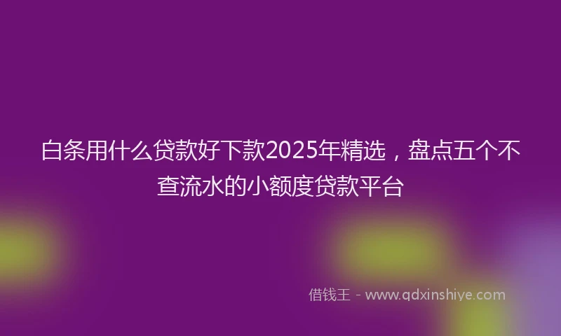 白条用什么贷款好下款2025年精选，盘点五个不查流水的小额度贷款平台