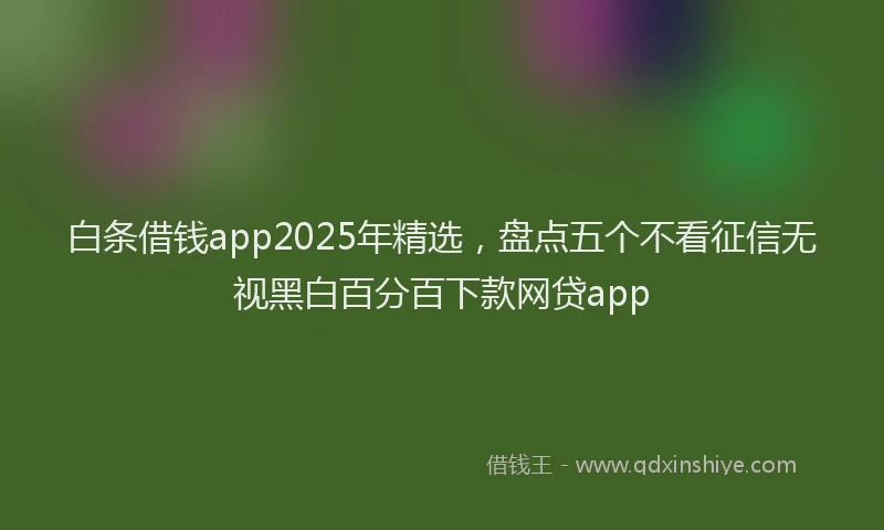 白条借钱app2025年精选，盘点五个不看征信无视黑白百分百下款网贷app