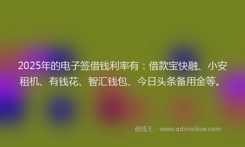2025年的电子签借钱利率有：借款宝快融、小安租机、有钱花、智汇钱包、今日头条备用金等。