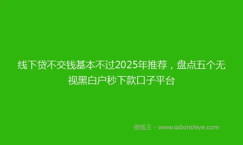 线下贷不交钱基本不过2025年推荐，盘点五个无视黑白户秒下款口子平台