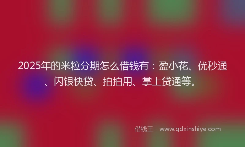 2025年的米粒分期怎么借钱有：盈小花、优秒通、闪银快贷、拍拍用、掌上贷通等。