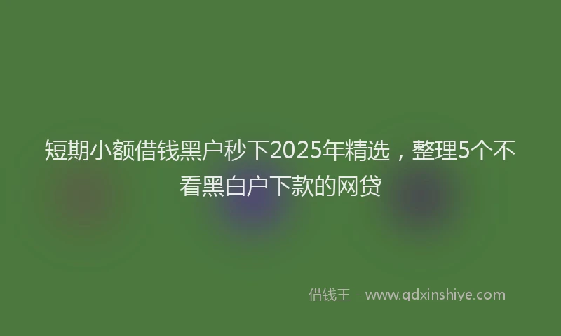 短期小额借钱黑户秒下2025年精选，整理5个不看黑白户下款的网贷