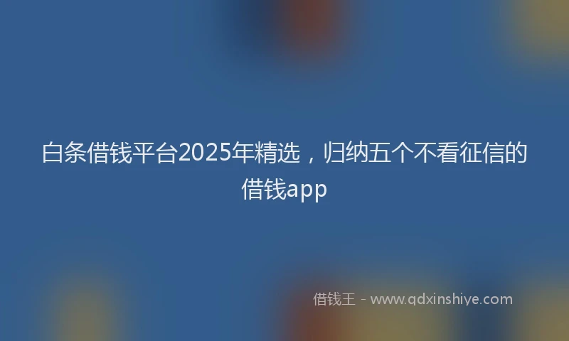 白条借钱平台2025年精选，归纳五个不看征信的借钱app