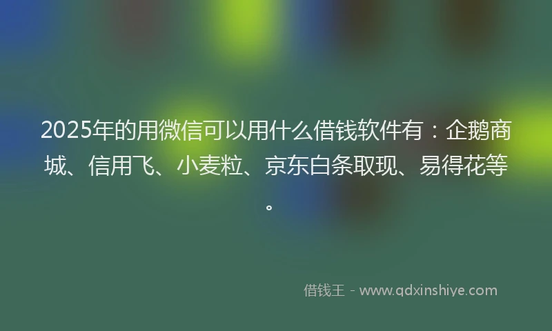 2025年的用微信可以用什么借钱软件有：企鹅商城、信用飞、小麦粒、京东白条取现、易得花等。
