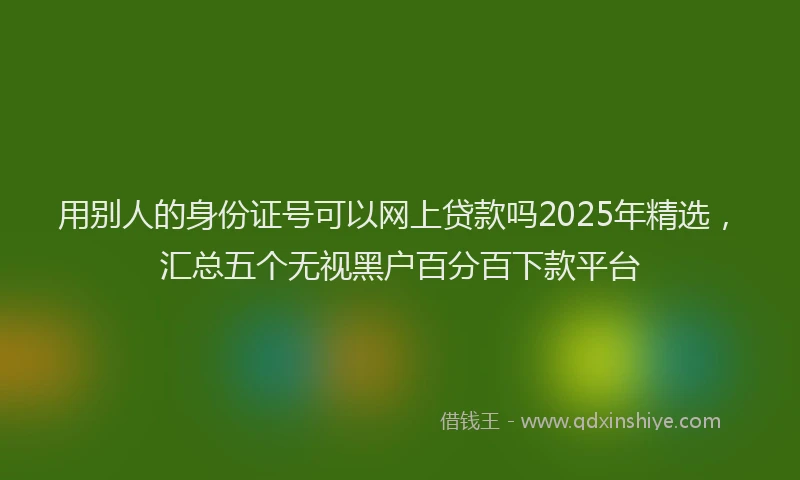 用别人的身份证号可以网上贷款吗2025年精选，汇总五个无视黑户百分百下款平台