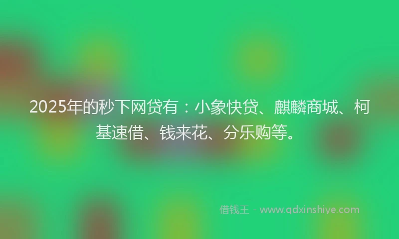 2025年的秒下网贷有：小象快贷、麒麟商城、柯基速借、钱来花、分乐购等。