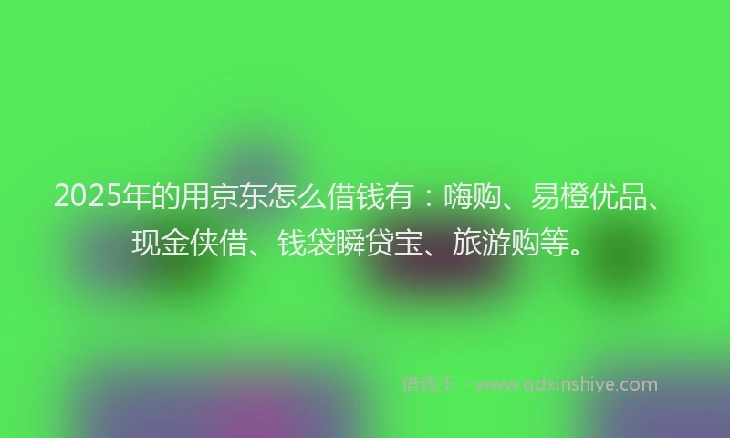 2025年的用京东怎么借钱有：嗨购、易橙优品、现金侠借、钱袋瞬贷宝、旅游购等。