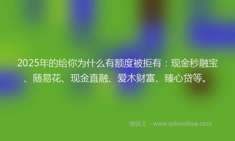 2025年的给你为什么有额度被拒有：现金秒融宝、随易花、现金直融、爱木财富、臻心贷等。