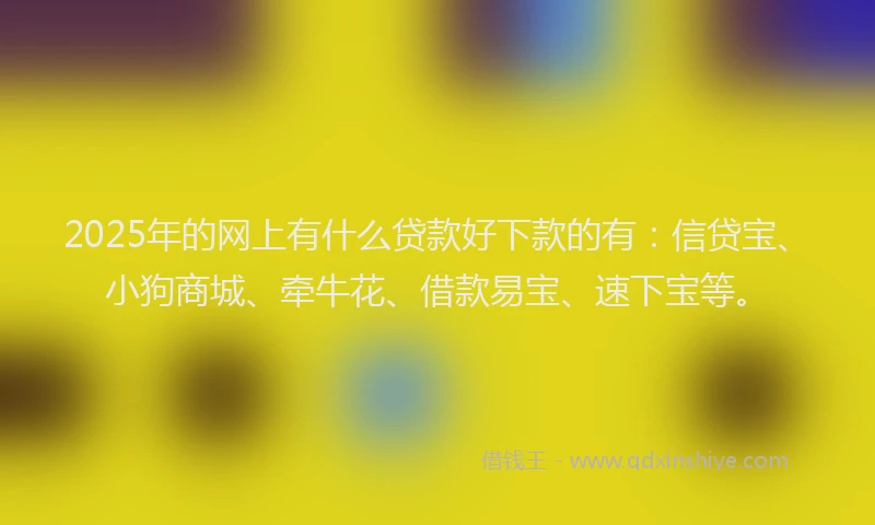 2025年的网上有什么贷款好下款的有：信贷宝、小狗商城、牵牛花、借款易宝、速下宝等。