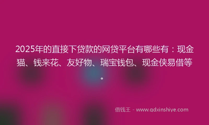 2025年的直接下贷款的网贷平台有哪些有：现金猫、钱来花、友好物、瑞宝钱包、现金侠易借等。