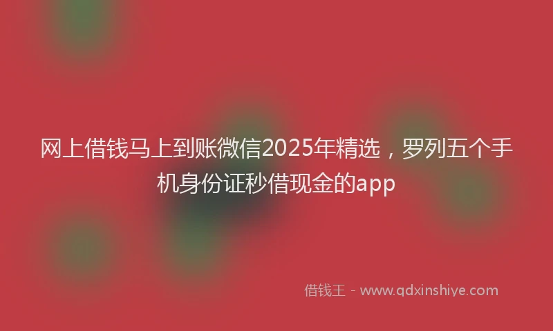 网上借钱马上到账微信2025年精选，罗列五个手机身份证秒借现金的app