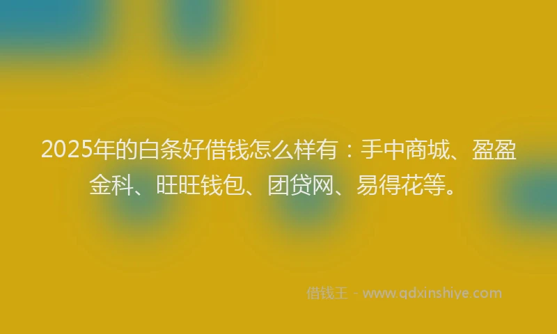 2025年的白条好借钱怎么样有：手中商城、盈盈金科、旺旺钱包、团贷网、易得花等。