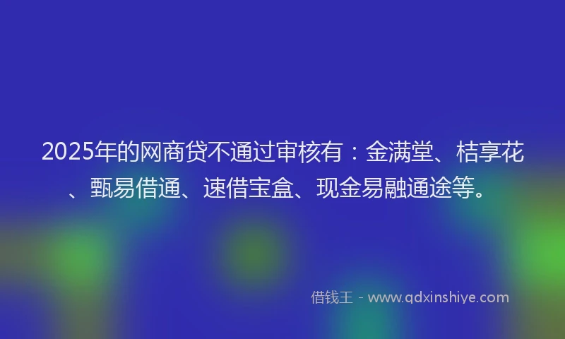 2025年的网商贷不通过审核有：金满堂、桔享花、甄易借通、速借宝盒、现金易融通途等。