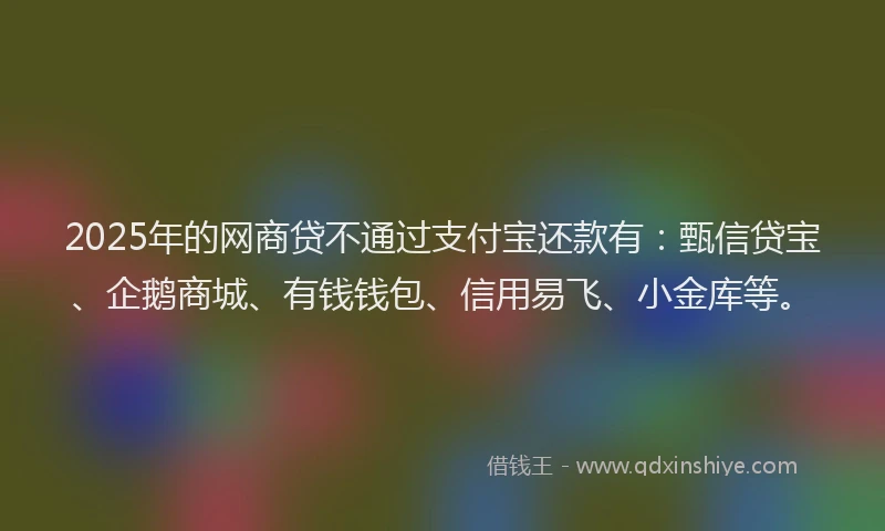 2025年的网商贷不通过支付宝还款有：甄信贷宝、企鹅商城、有钱钱包、信用易飞、小金库等。